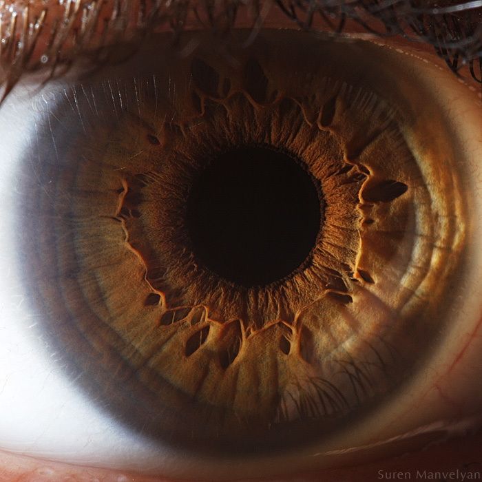 Your Beautiful Eyes (20 pics)