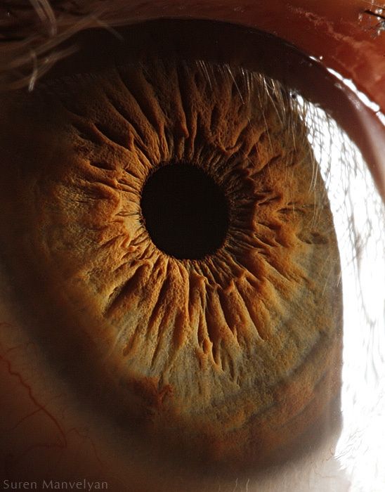 Your Beautiful Eyes (20 pics)