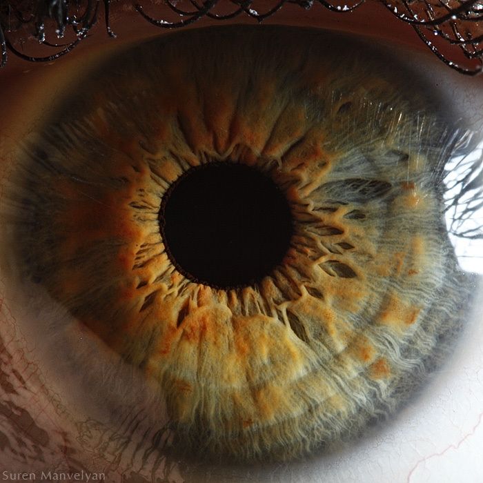 Your Beautiful Eyes (20 pics)