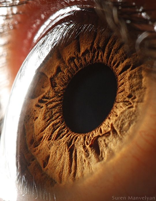 Your Beautiful Eyes (20 pics)