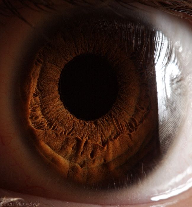 Your Beautiful Eyes (20 pics)
