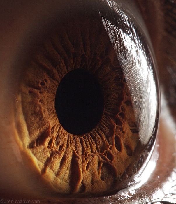 Your Beautiful Eyes (20 pics)