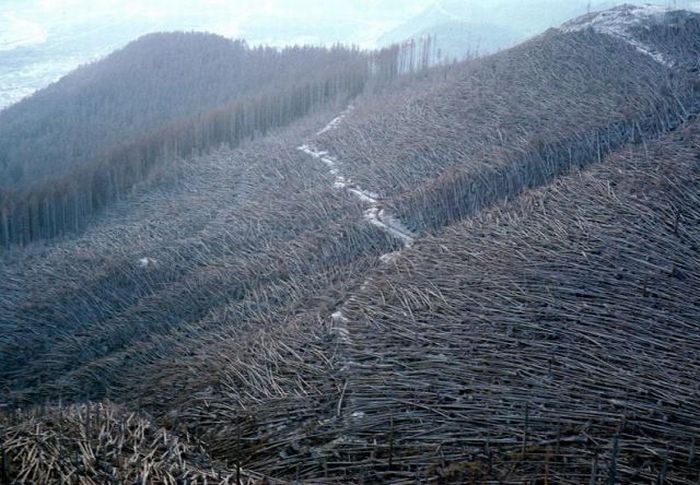 The Best Photos of Natural Disasters (30 pics) The Best Photos of Natural Disasters (30 pics)