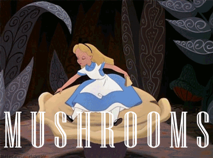 Alice in Wonderland on Drugs (9 gifs)