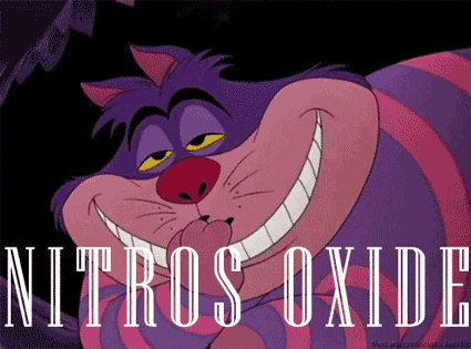 Alice in Wonderland on Drugs (9 gifs)