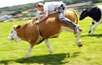 People Riding Inappropriate Animals (22 pics)