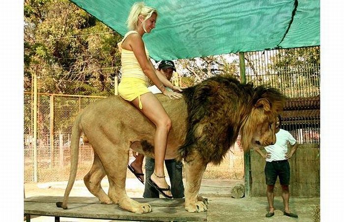 People Riding Inappropriate Animals (22 pics)