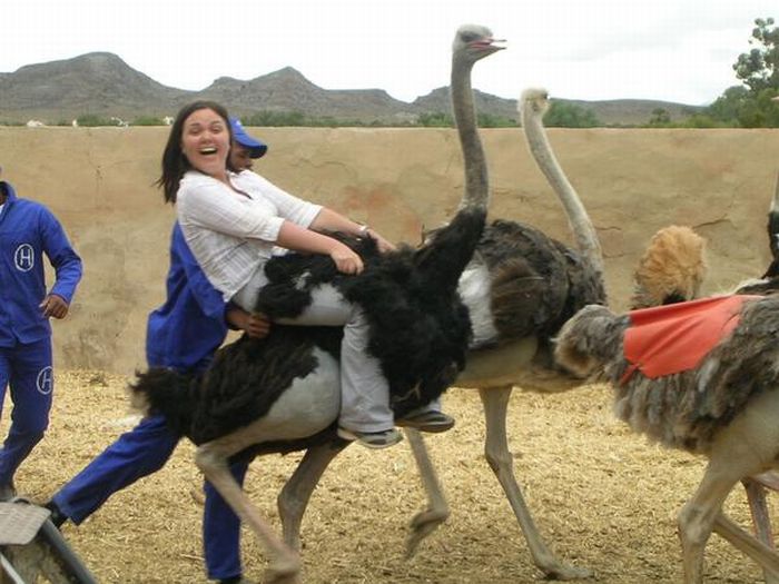 People Riding Inappropriate Animals (22 pics)