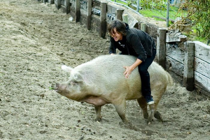 People Riding Inappropriate Animals (22 pics)