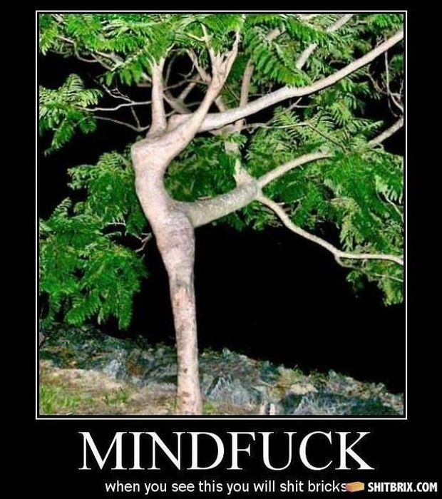 Mindf*ck Pictures (74 pics)