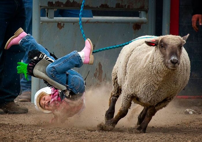 Most Dangerous Moments of Rodeo (17 pics)