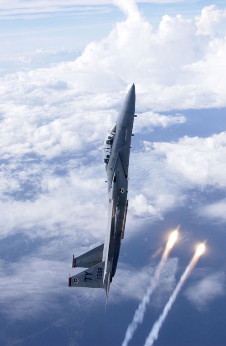 McDonnell Douglas F-15E Strike Eagle (29 pics)