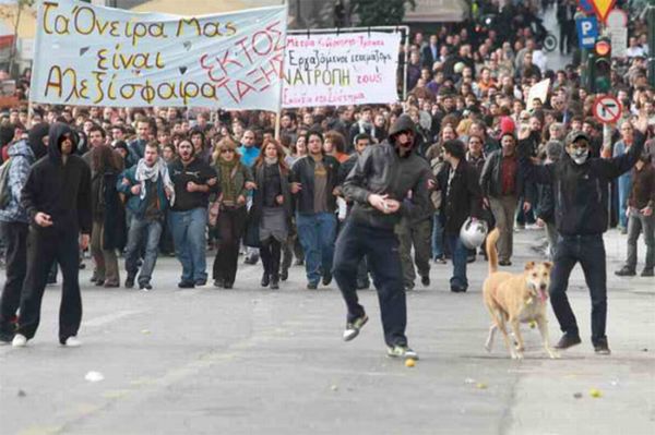 Riot Dog is Back (7 pics)