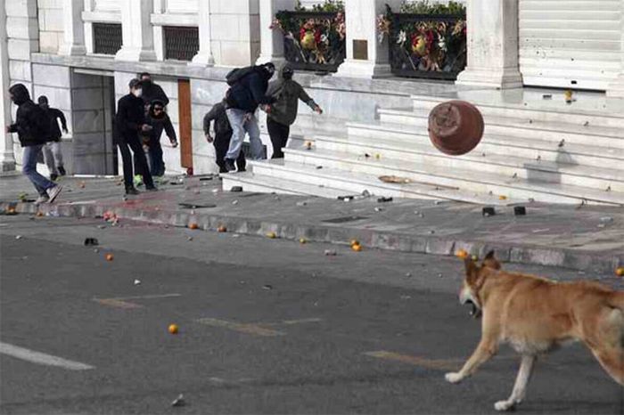 Riot Dog is Back (7 pics)
