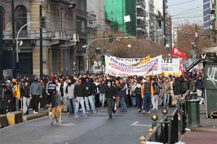 Riot Dog is Back (7 pics)