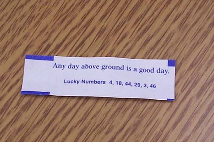 Hilarious Fortune Cookies Fortunes (40 pics)