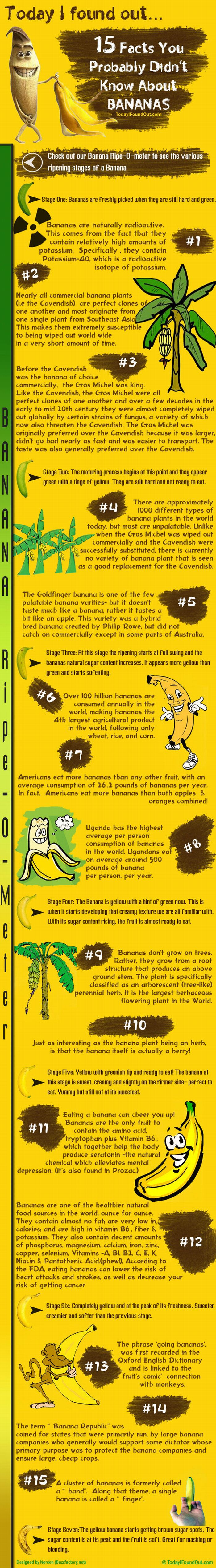 15 Facts You Probably Didn’t Know About Bananas (infographic)