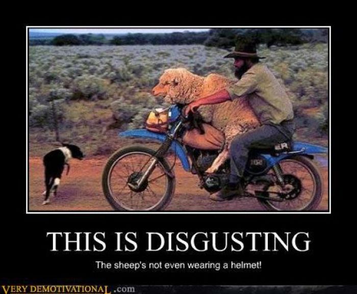 Funny Demotivational Posters (40 pics)