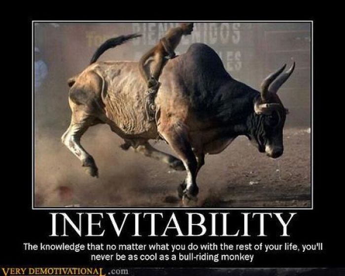 Funny Demotivational Posters (40 pics)