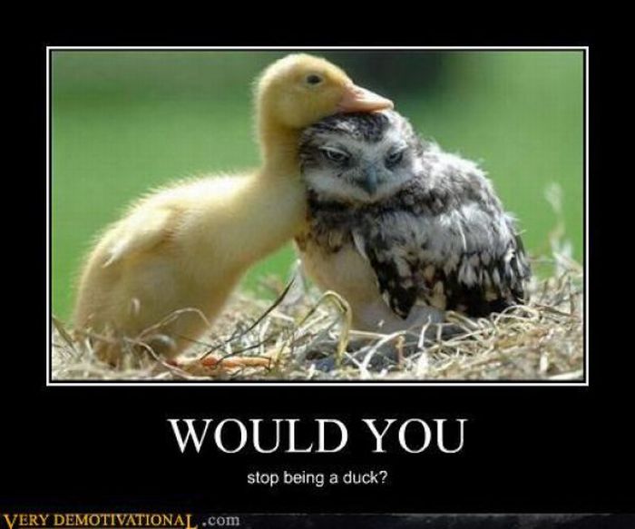 Funny Demotivational Posters (40 pics)
