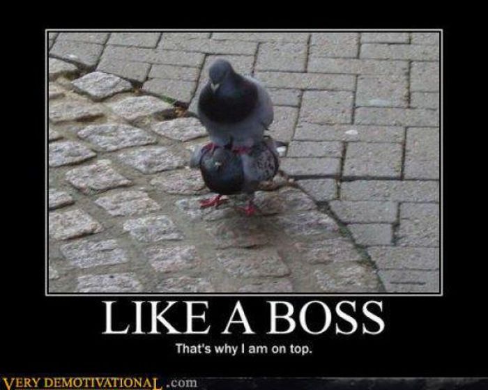 Funny Demotivational Posters (40 pics)