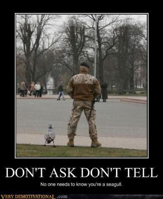 Funny Demotivational Posters (40 pics)