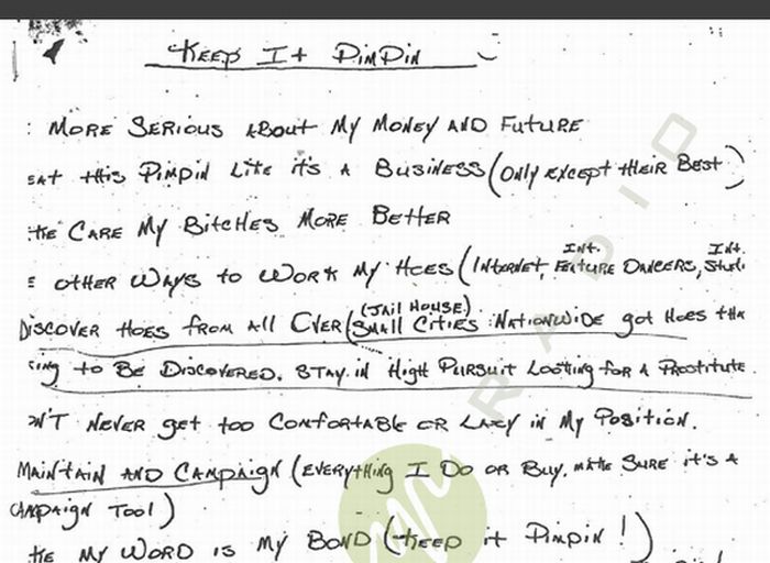 Pimp's Business Plan (2 pics)