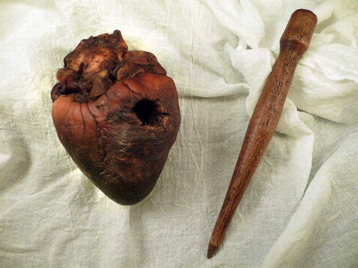 Mummified Vampire Heart is for Sale on Ebay (7 pics)