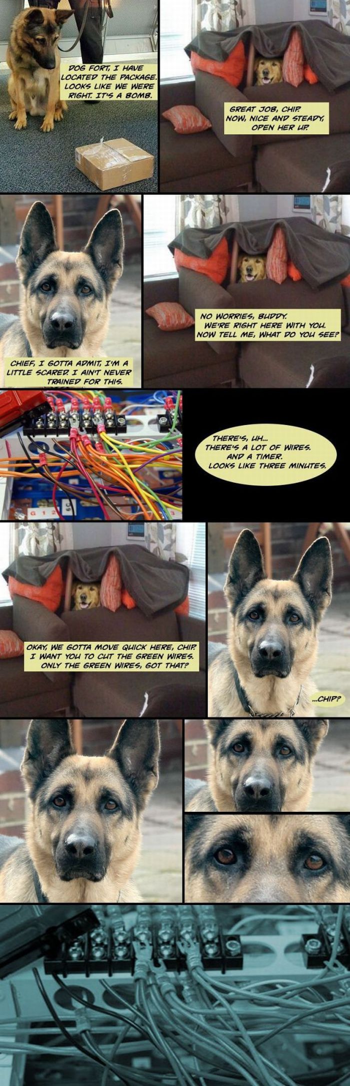 Dog Fort Comics (18 pics)