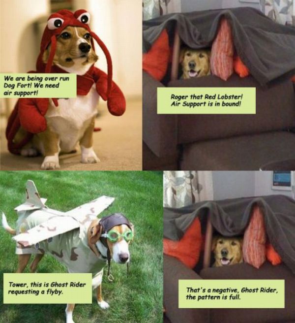 Dog Fort Comics (18 pics)