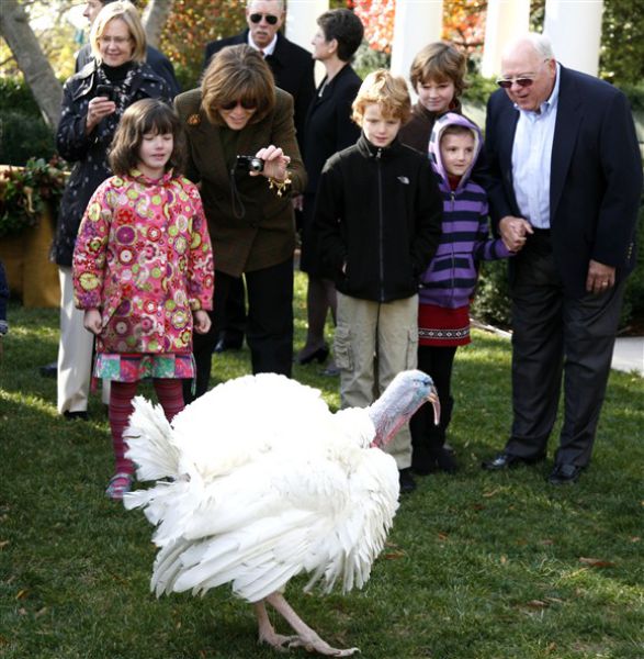 Funny Politicians (19 pics)