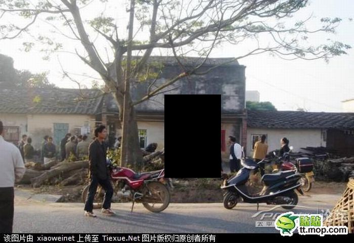 How Did He Manage That? (5 pics)