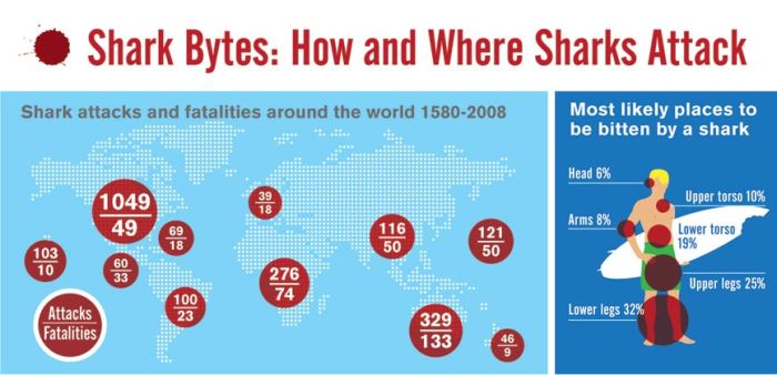 Shark attacks (infographic)