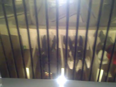 Acid Videos
