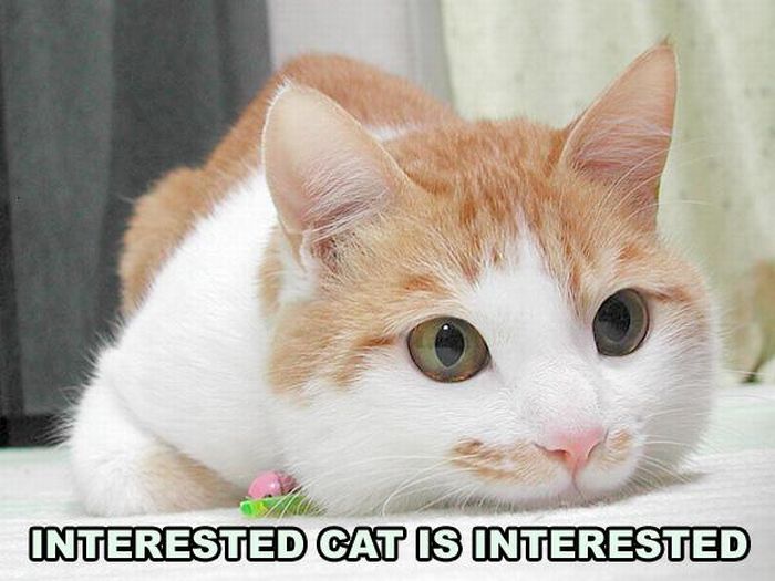 Acid Picdump (111 pics)