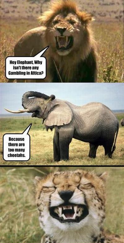 Acid Picdump (111 pics)