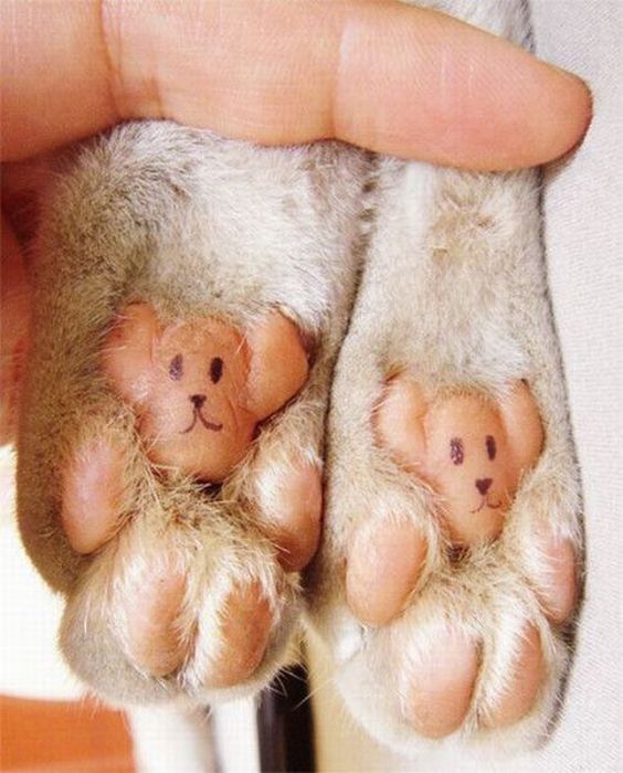 Acid Picdump (111 pics)