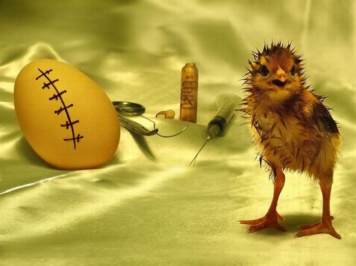 Acid Picdump (111 pics)