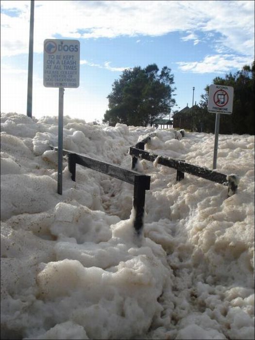Strange Foam on the Coast of Australia (15 pics)