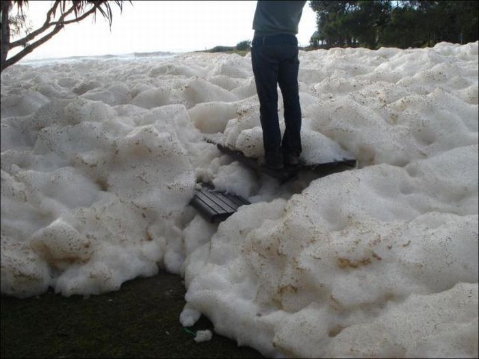 Strange Foam on the Coast of Australia (15 pics)