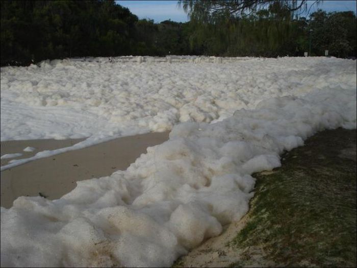 Strange Foam on the Coast of Australia (15 pics)