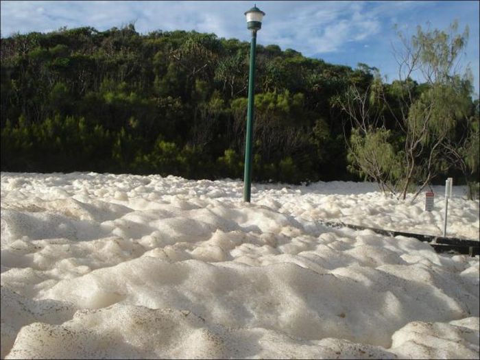 Strange Foam on the Coast of Australia (15 pics)