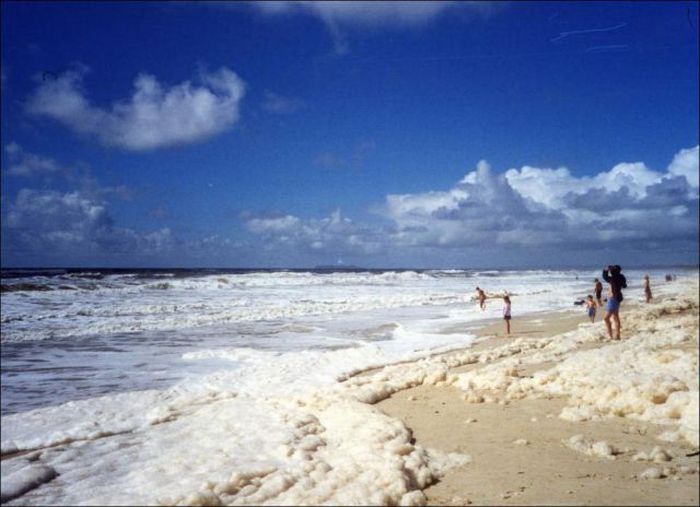 Strange Foam on the Coast of Australia (15 pics)