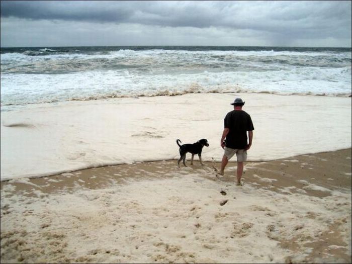 Strange Foam on the Coast of Australia (15 pics)