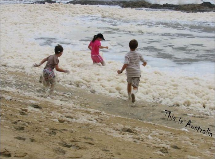 Strange Foam on the Coast of Australia (15 pics)