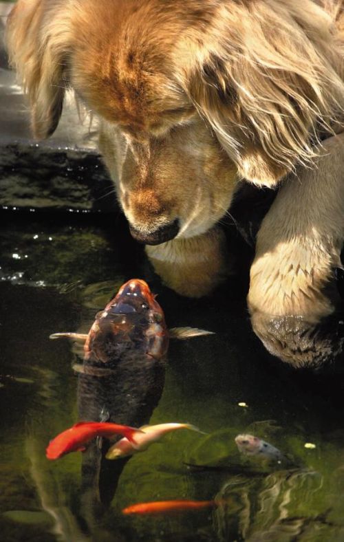 Acid Picdump (106 pics)