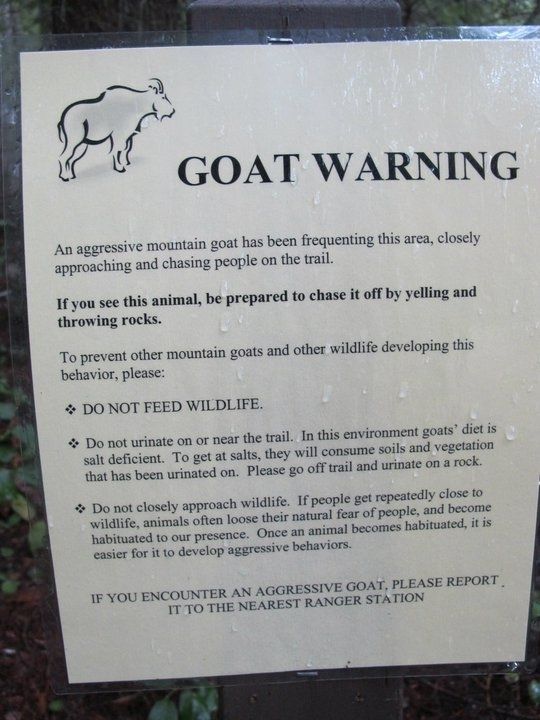 Acid Picdump (106 pics)