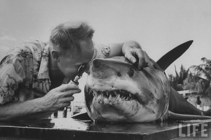Acid Picdump (106 pics)