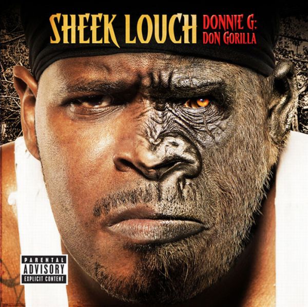 The Worst Album Covers Of 2010 (12 pics) The Worst Album Covers Of 2010 (12 pics)