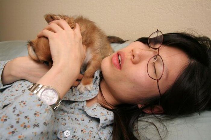 Puppy Wants to Play (11 pics)